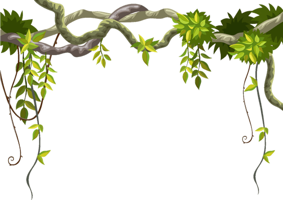 Forest Border PNG