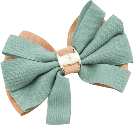 Fashion Accessories PNG