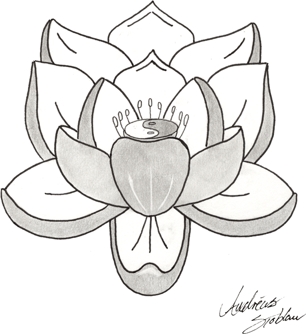 Lotus Tattoos PNG
