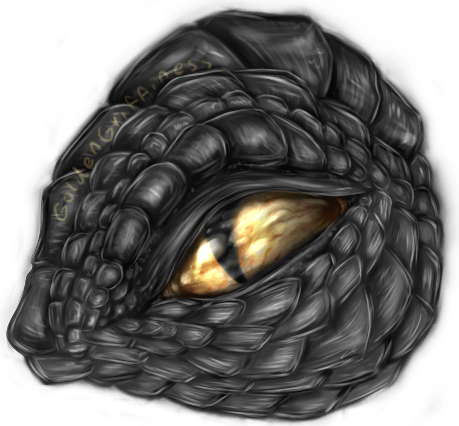 Dragon Eyes PNG
