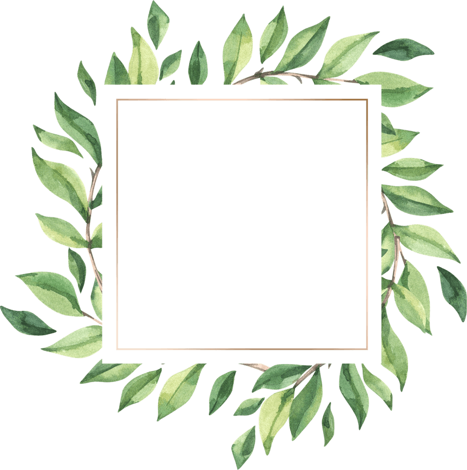 Watercolor Leaves Border PNG
