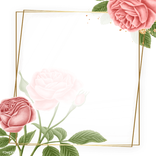 Rose Gold Frame PNG