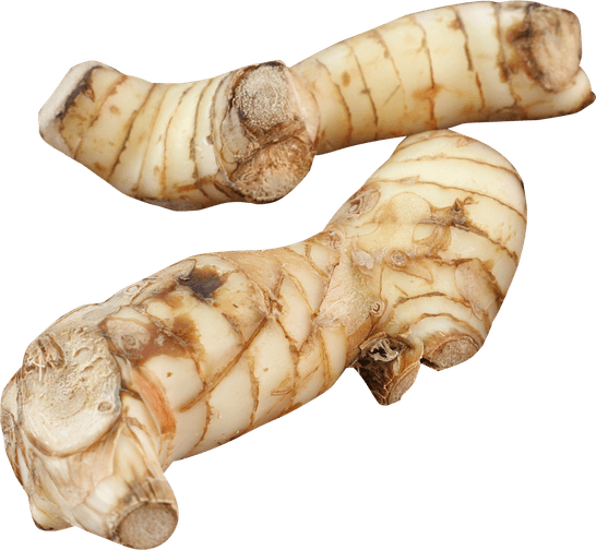 Galangal PNG
