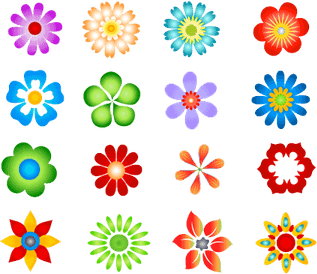 Flowers Vectors PNG