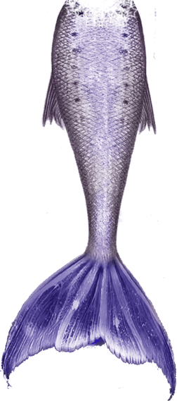 Mermaid Tail PNG