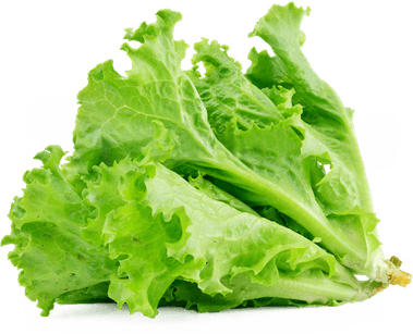 Celtuce PNG