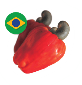Cashew Apple PNG
