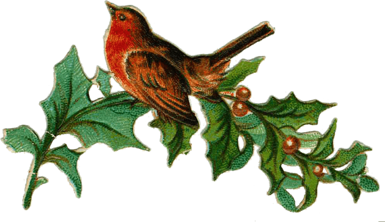 Christmas Bird PNG