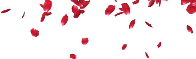 Petal PNG