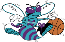 Charlotte Hornets Logo PNG