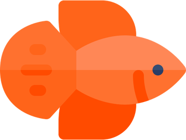 Betta Fish PNG
