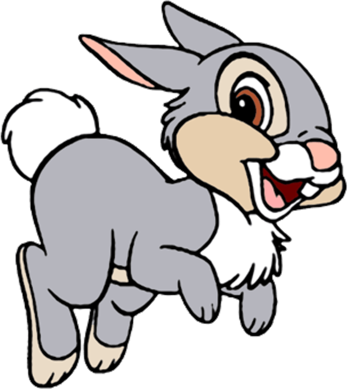 Cartoon Bunny PNG