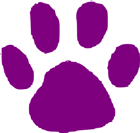 Footprint PNG