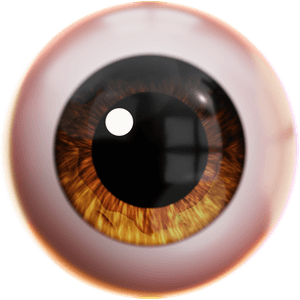 Brown Eyeball PNG