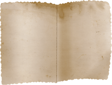 Beige Book PNG