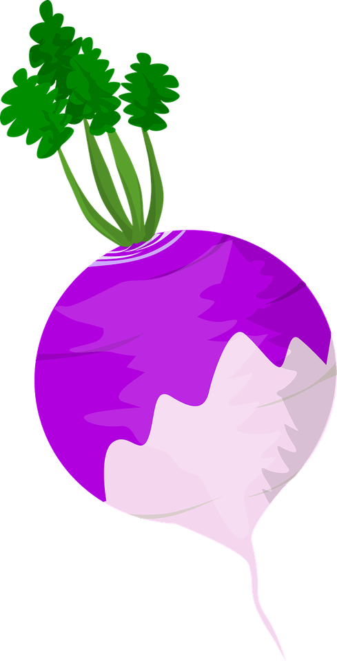 Ingredient PNG