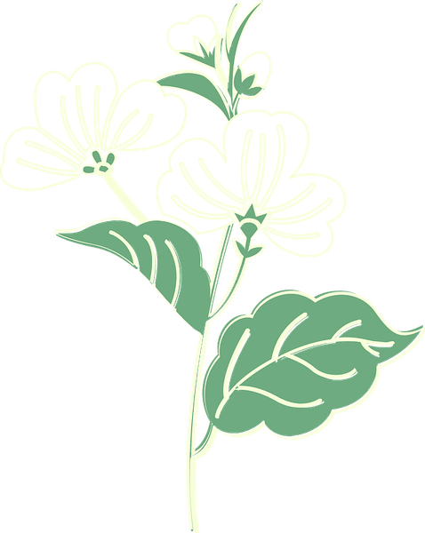 Aesthetic Green Flower PNG