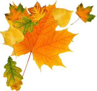 Autumn PNG