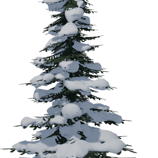 Snow Covered Tree PNG