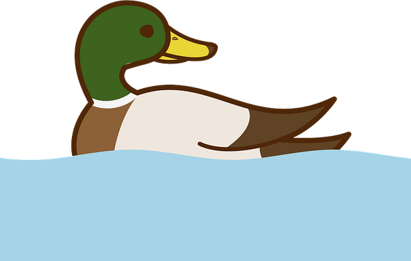 Mallard PNG