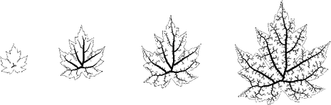Veins PNG