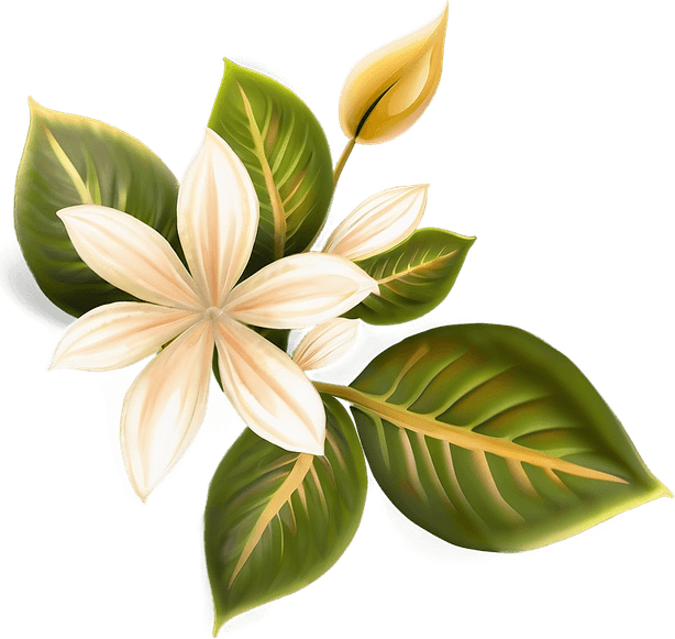 Golden Flower PNG