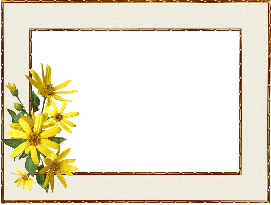 Portrait Border PNG