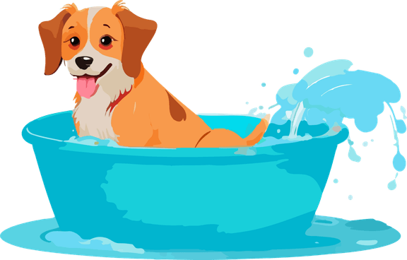Bath Dog PNG