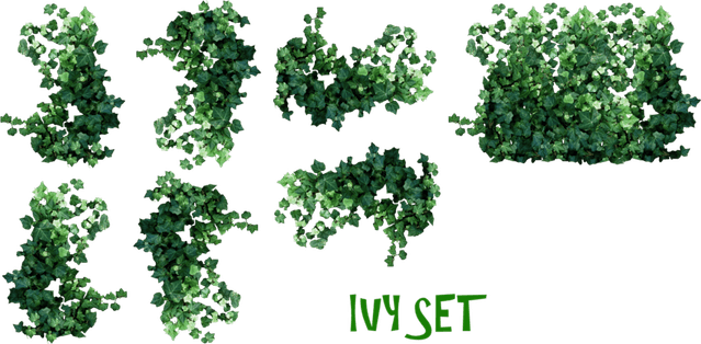 Plants PNG