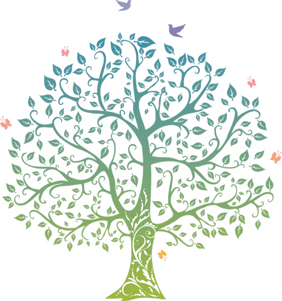 Family Tree PNG