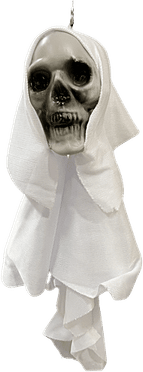 Halloween Skull PNG