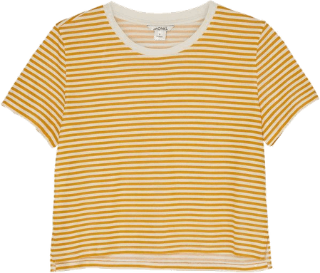 Striped T Shirt PNG