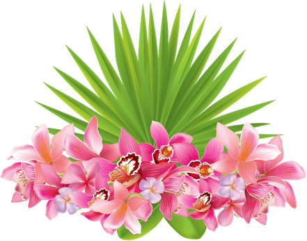 Tropical Flowers Border PNG
