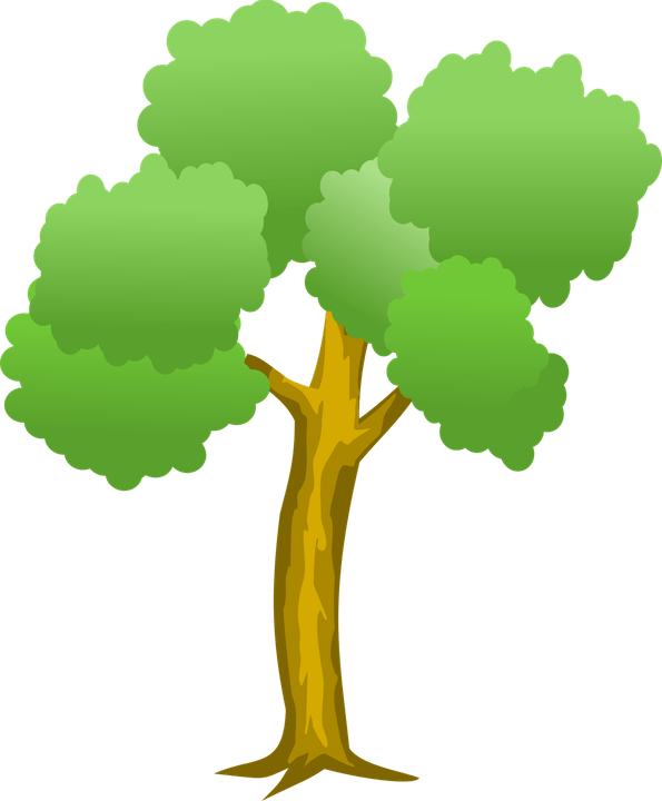 Arbol PNG