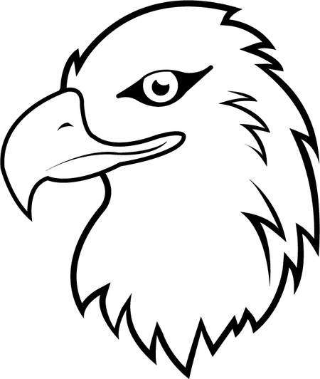 Black And White Bald Eagle PNG
