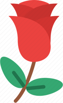 Romantic Flower PNG