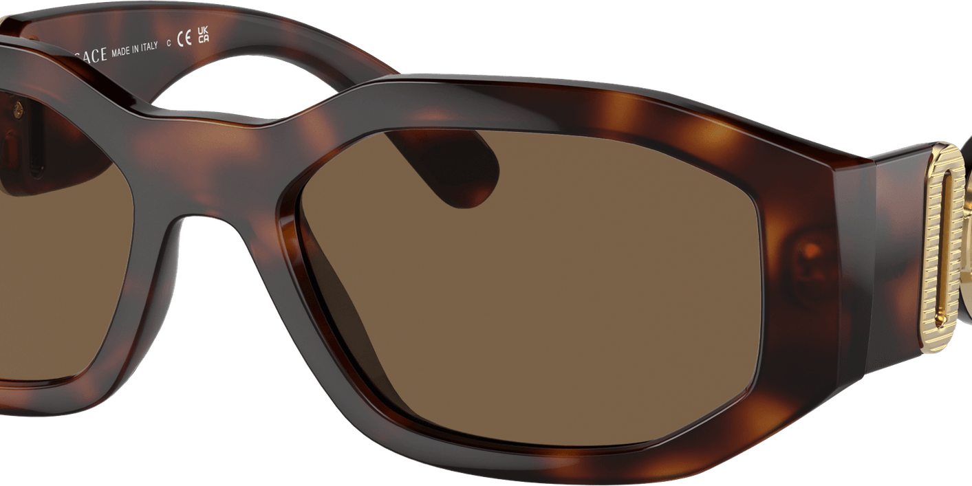Designer Sunglasses PNG