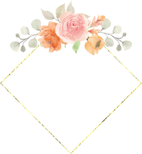 Peach Flower Border PNG