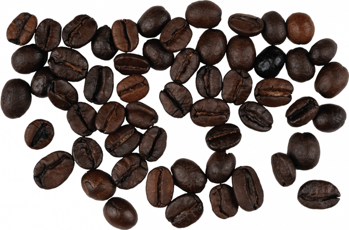 Cocoa Beans PNG