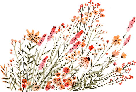 Dainty Flower PNG