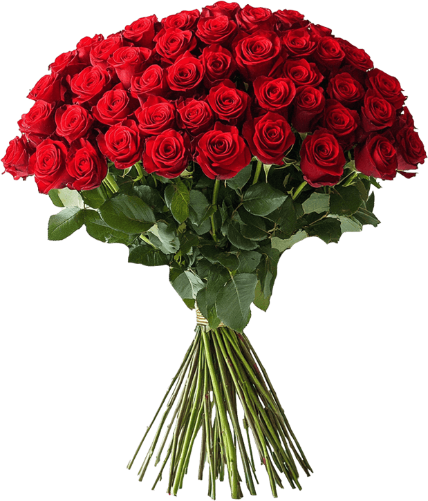 Long Stem Rose PNG