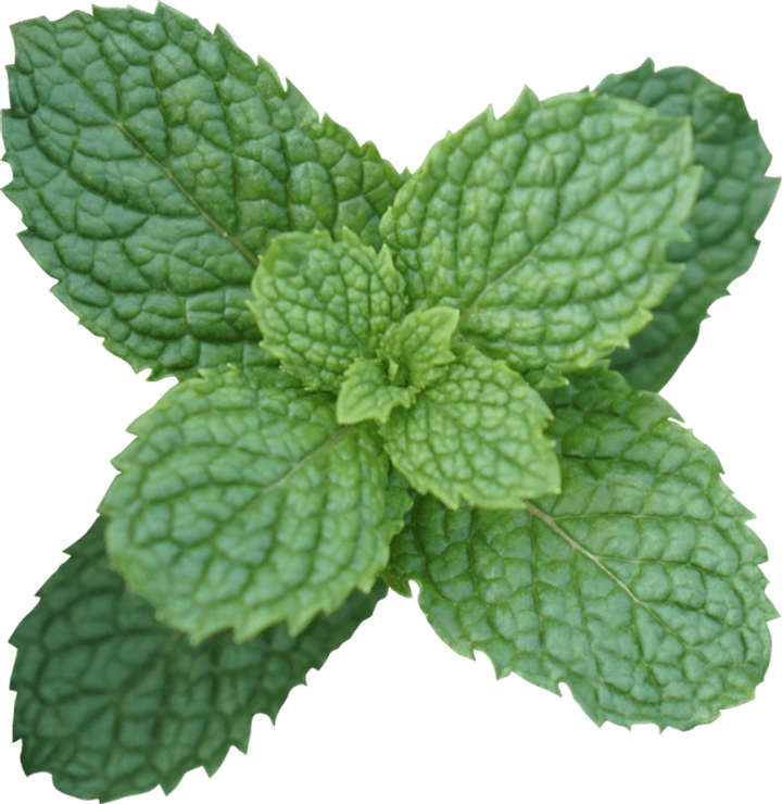 Peppermint PNG