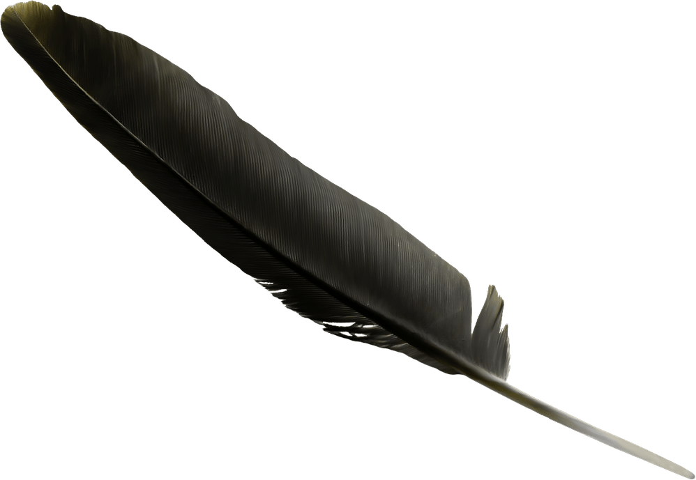 Black Feathers PNG