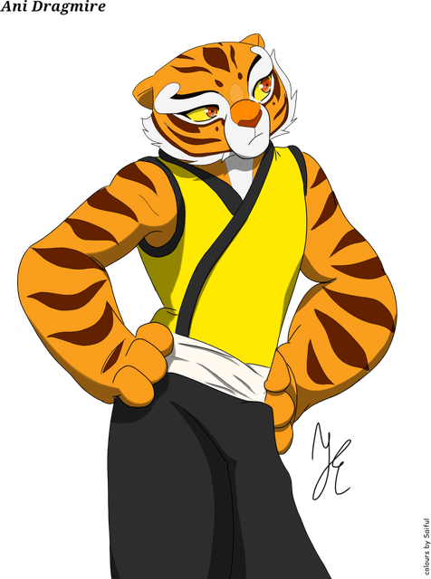 Master Tigress PNG