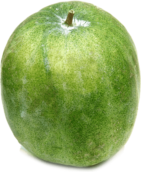 Ash Gourd PNG