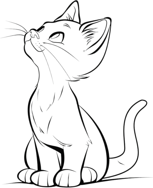 Cat Drawing PNG