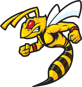 Hornets Logo PNG