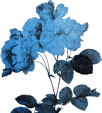 Aesthetic Theme Blue PNG