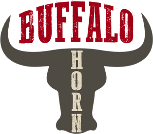 Buffalo Horns PNG