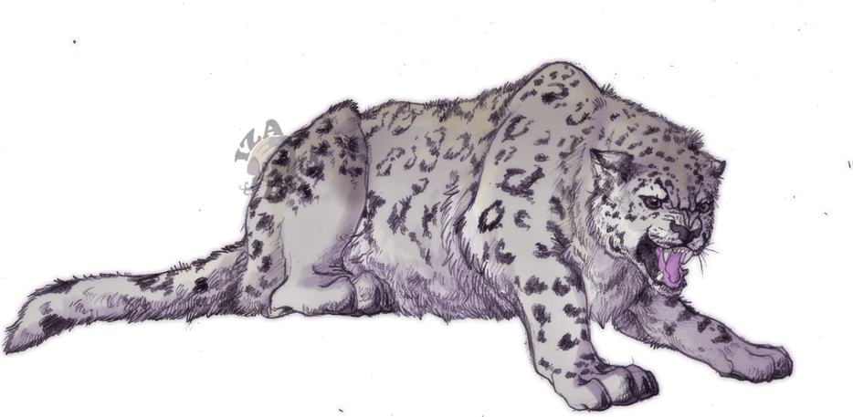 Leopards PNG